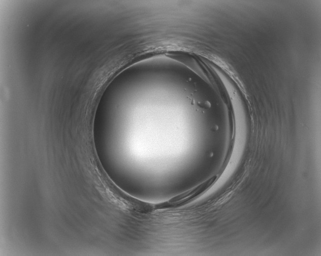 X0000056020481200508221525