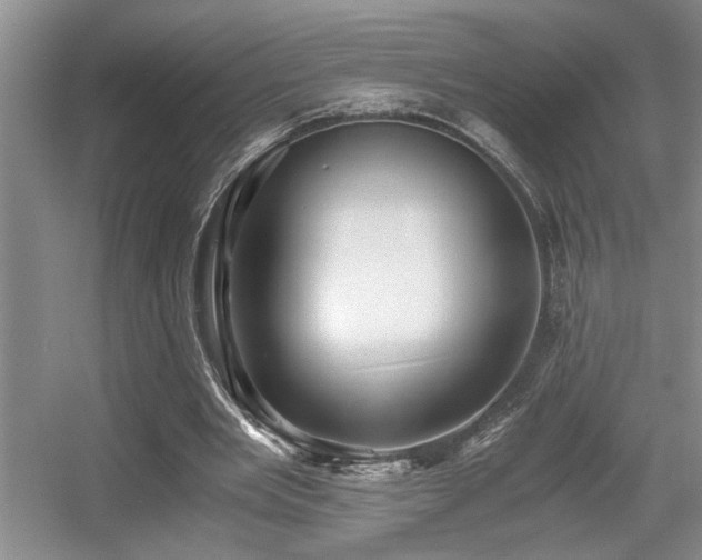 X0000056020485200508221525