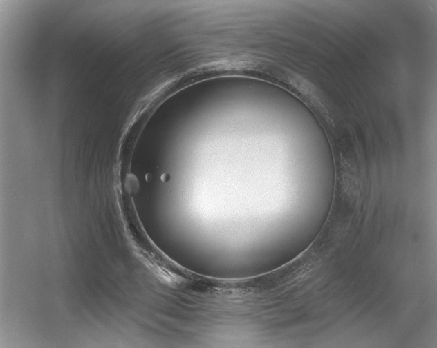 X0000056020486200508221525