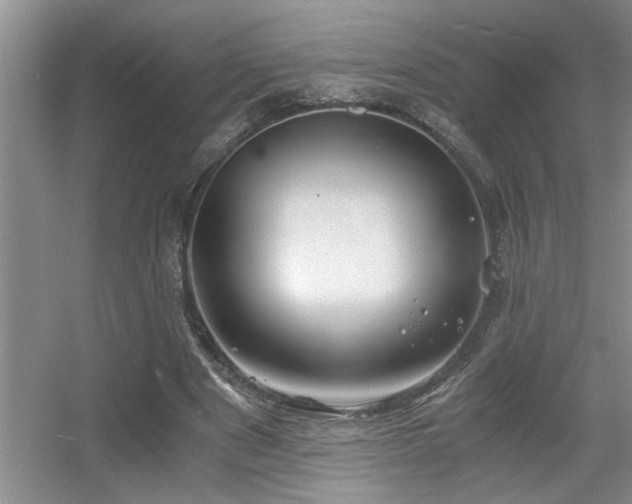 X0000056020489200508221524