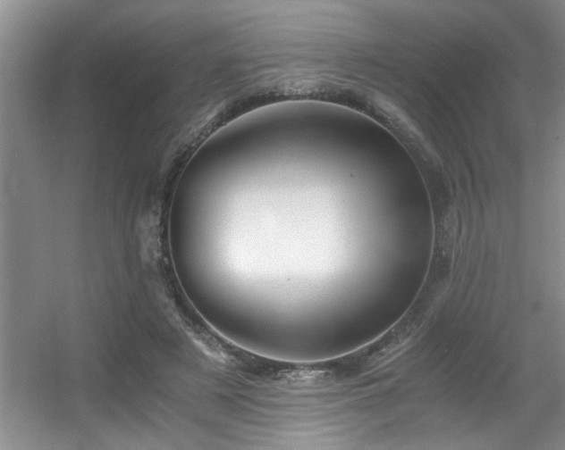X0000056020497200508221524