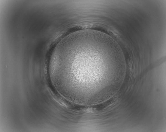 X0000056020499200508221524