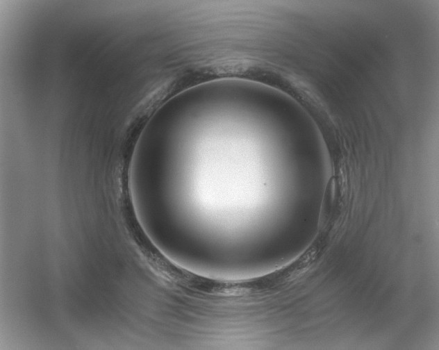 X0000056020501200508221524