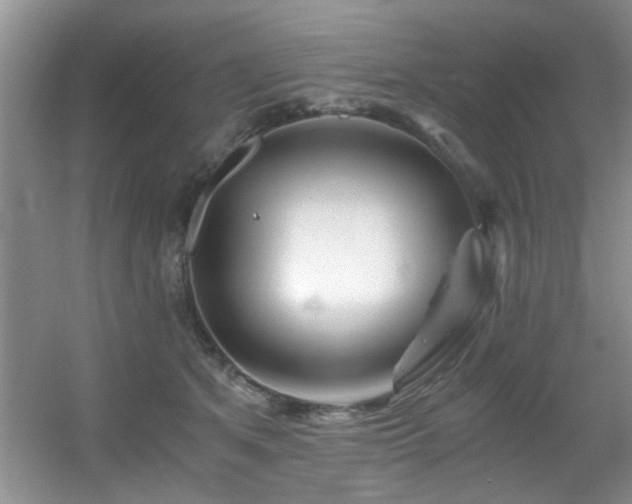X0000056020513200508221524