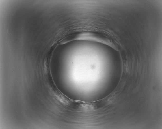 X0000056020520200508221524