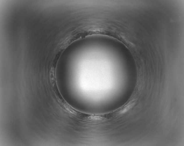 X0000056020528200508221524