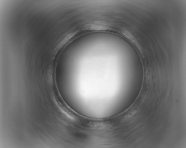 X0000056020533200508221523