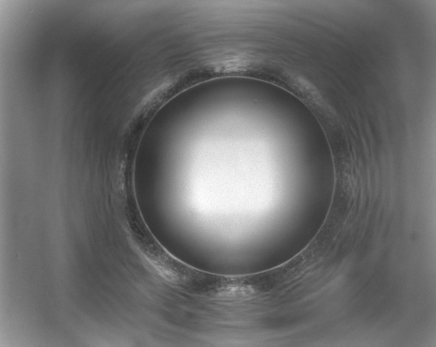 X0000056020543200508221523