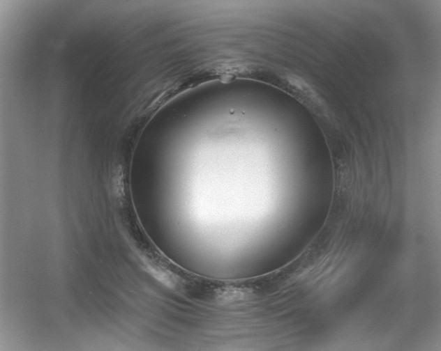X0000056020549200508221523