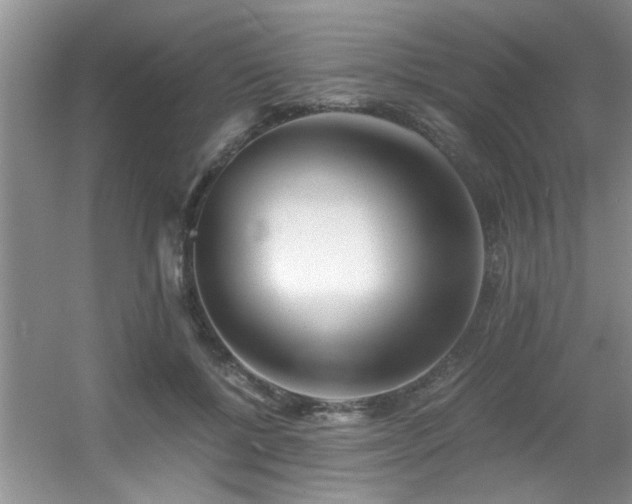 X0000056020552200508221523