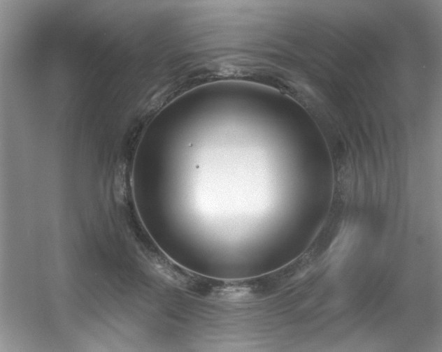 X0000056020554200508221523