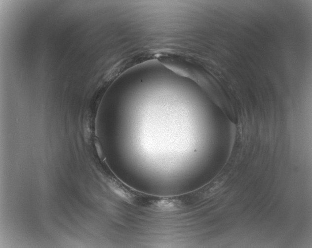X0000056020566200508221524