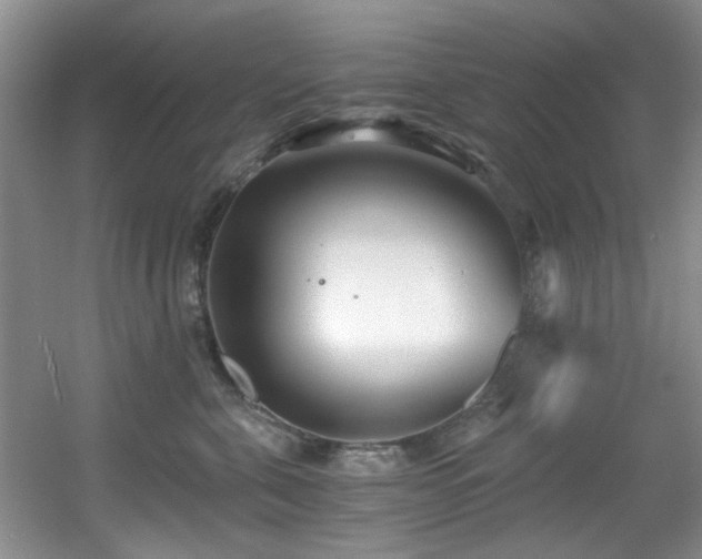 X0000056020571200508221524