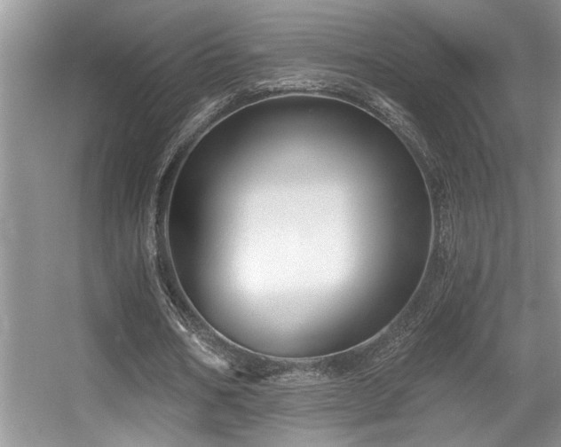 X0000056020578200508221523