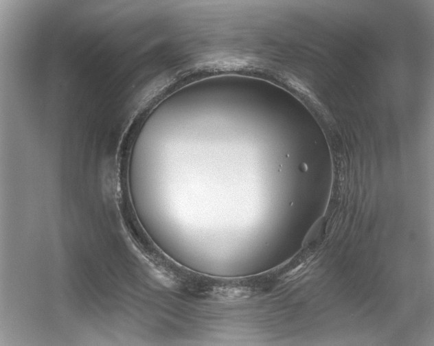 X0000056020582200508221523