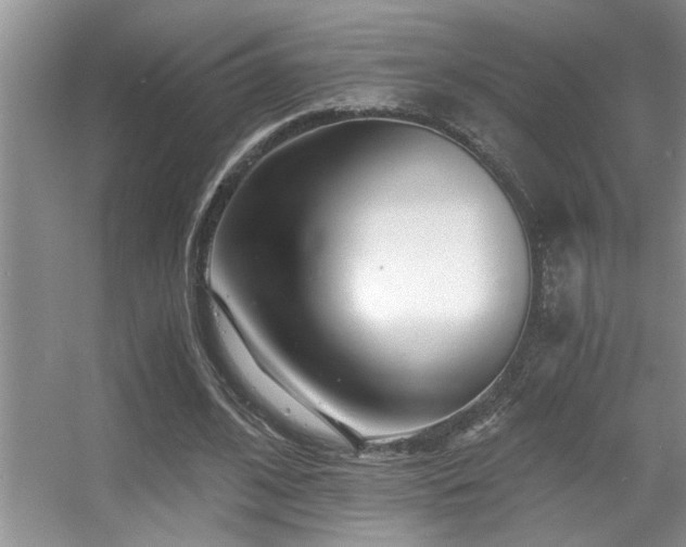 X0000056020584200508221523