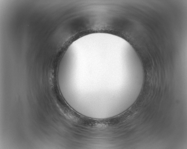X0000056020592200508221523