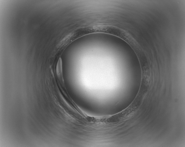 X0000056020593200508221523