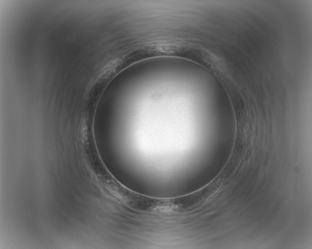 X0000056020595200508221523