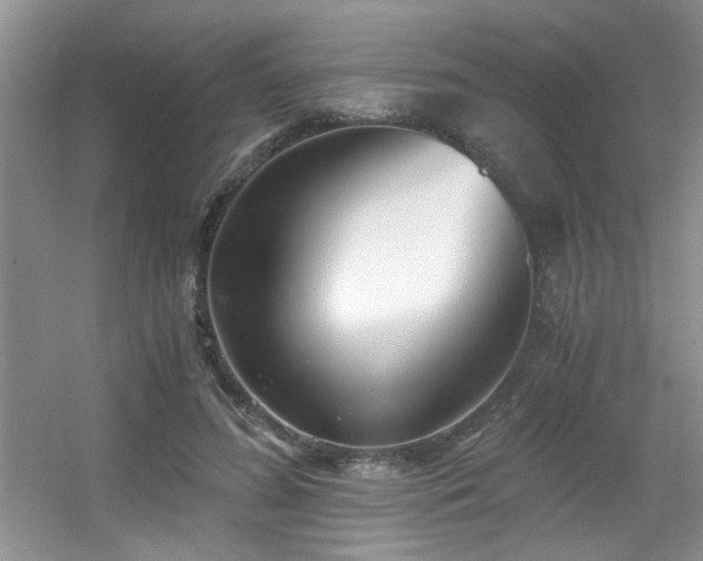 X0000056020596200508221523