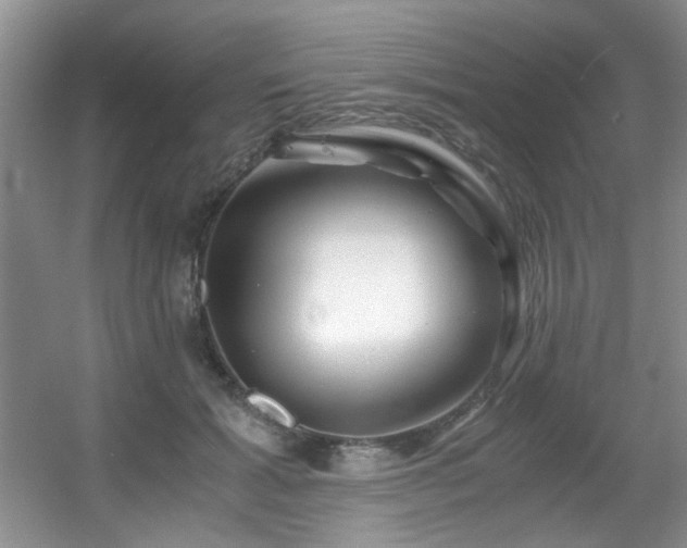X0000056020605200508221523