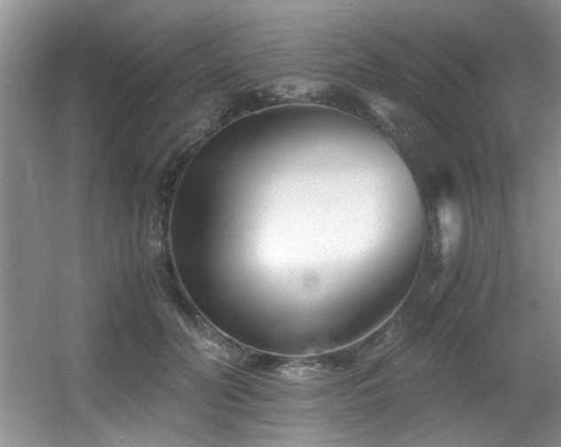 X0000056020606200508221522