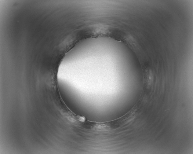 X0000056020619200508221522