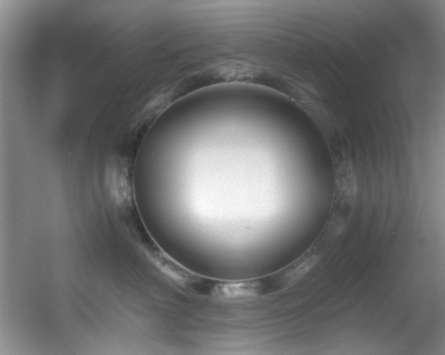 X0000056020622200508221522