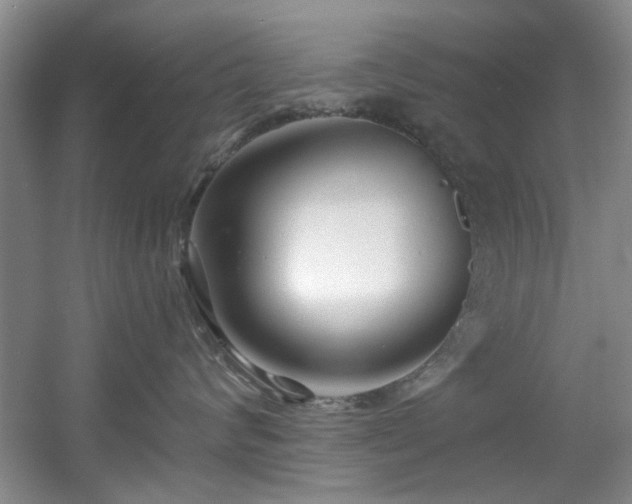 X0000056020624200508221522