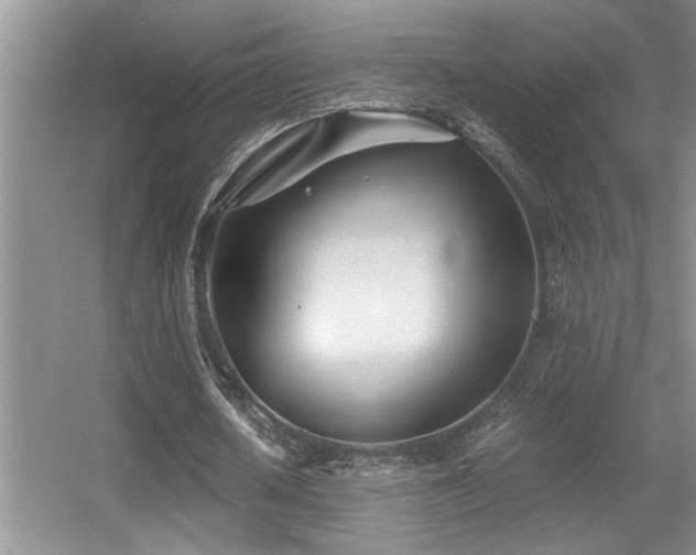 X0000056020626200508221521