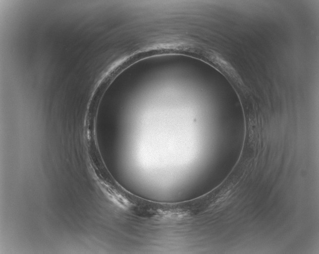 X0000056020628200508221521