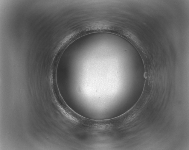 X0000056020629200508221521