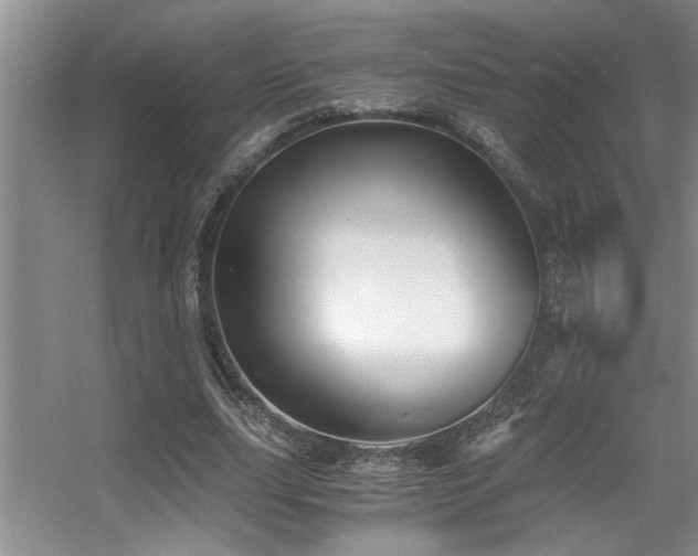 X0000056020631200508221521