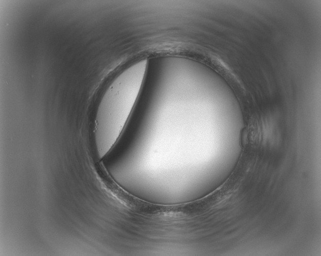 X0000056020637200508221522
