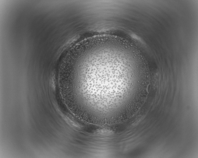 X0000056020644200508221522