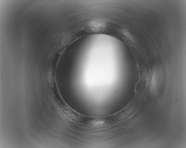 X0000056020651200508221522