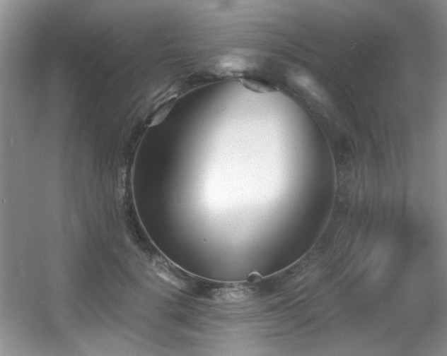 X0000056020652200508221522