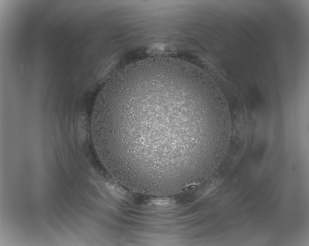 X0000056020659200508221522