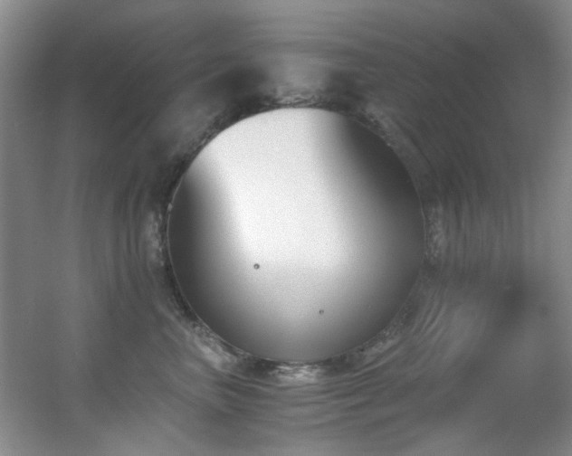 X0000056020667200508221522