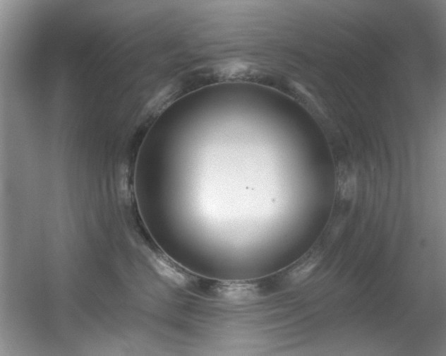 X0000056020670200508221522