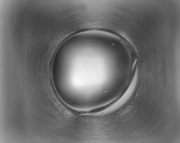 X0000056020673200508221521