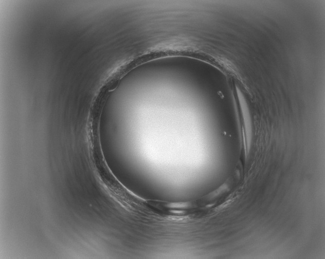 X0000056020680200508221521