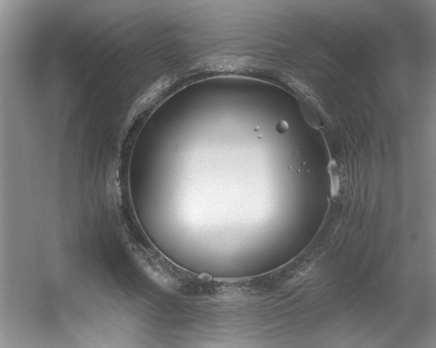 X0000056020682200508221521