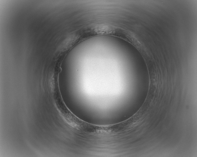 X0000056020690200508221521