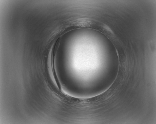 X0000056020696200508221521