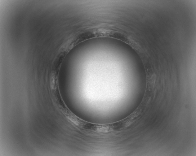 X0000056020709200508221521