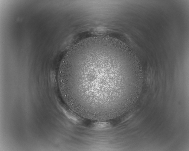 X0000056020711200508221521