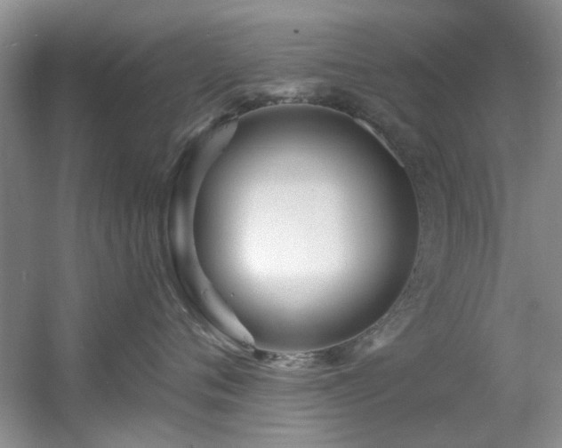 X0000056020720200508221521