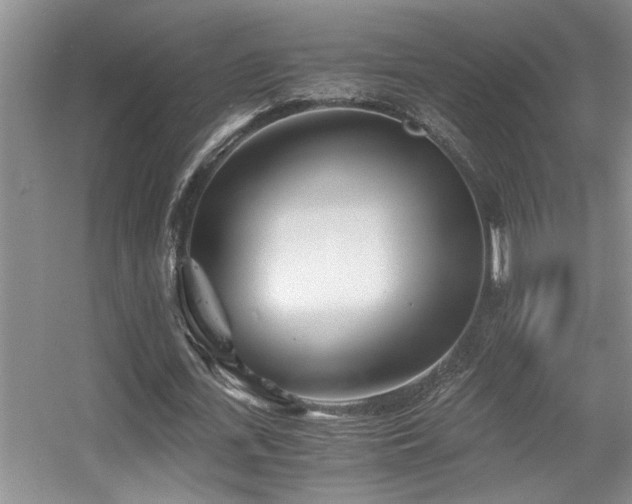 X0000056020723200508221520