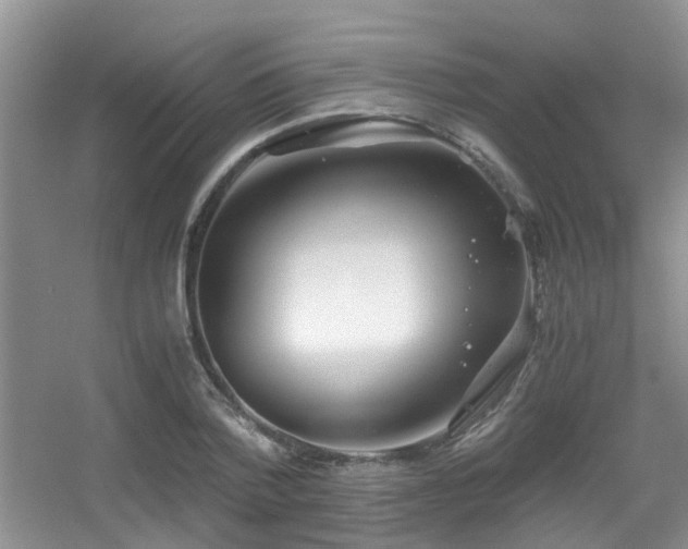 X0000056020788200508221519